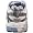 Brooks Women's Adrenaline GTS 10  Running Shoe,Chanbray/Midnight Fog/White/Silver,9 US 2E