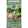Great Cities of the Ancient World - Athens & Ancient Greece [VHS]