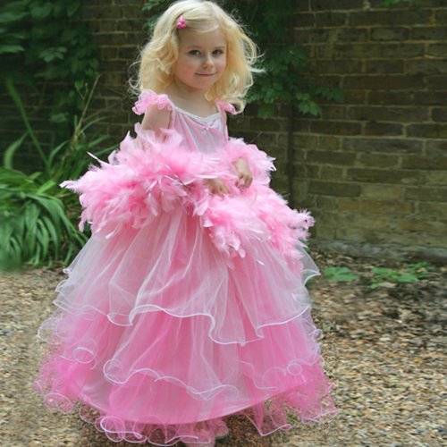Girls Kids Pink Princess Frilly Costume