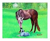 Best Friends (Quarter Horse and Australian Cattle Dog) Animals Giclee Poster Print by Rhonda Watson, 10x8