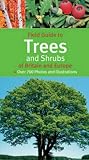 Field Guide to Trees and Shrubs of Britain and Europe (Field Guide)