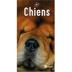 Chiens