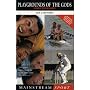 Playgrounds of the Gods: A Year of Sporting Fantasy (Mainstream Sport)