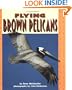 Flying Brown Pelicans (Pull Ahead Books)
