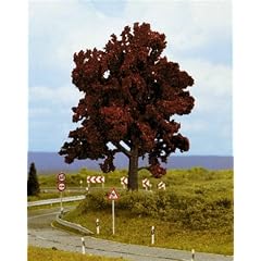 Noch 21730 - Rotbuche 14 cm