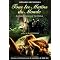 Ultimate Soul Nourishing Guide to Literary Violin in Books and on DVD
