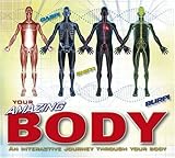 Your amazing body