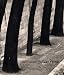 Otto Steinert: Parisian Shapes