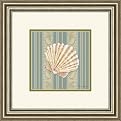 Seashell II Framed Art