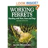 Working Ferrets 2nd Editon: Handling with Nets, Guns and Dogs