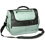 Rick Steves Avanti Flight Bag