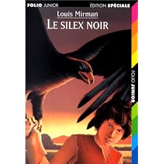 Le silex noir