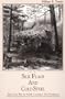 Silk Flags and Cold Steel: The Piedmont (Civil War in North Carolina)