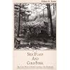 Silk Flags and Cold Steel: The Piedmont (Civil War in North Carolina)
