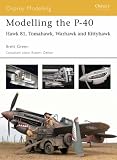 Modelling the P-40 Warhawk / Kittyhawk (Osprey Modelling 15)