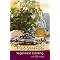 savor Mediterranean vegetarian cuisine?