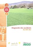 Diagnostic des accidents du bl� dur