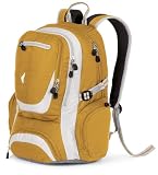 High Sierra Boomerang Backpack