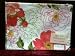 Liz Claiborne Home Blooms Coral Placemats, Set of 4