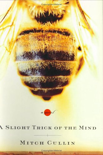 A Slight Trick of the Mind