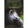 Gorillas - From the Heart of Darkness