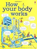 How your body works