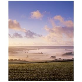 Photographic Print of Harberton, Devon, UK. from Ardea