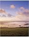 10x8 Photograph (25x20cm) Harberton, Devon, UK. by Ardea