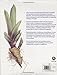 Contemporary Botanical Illustration with the Eden Project