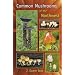 Common Mushrooms of the Northwest: Alaska, Western Canada & the Northwestern United States