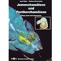 Jemencham�leon und Panthercham�leon. Pflege, Zucht und Lebensweise