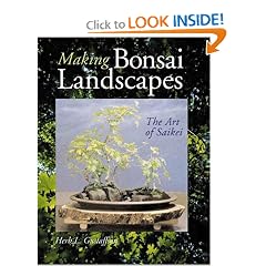 Making Bonsai Landscapes: The Art Of Saikei