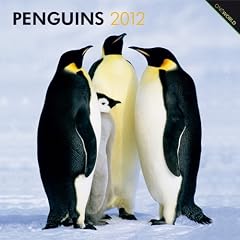 Penguins 2012 Wall