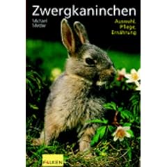 Zwergkaninchen