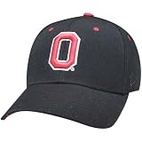 Zephyr Ohio St. Buckeyes DH Fitted Hat