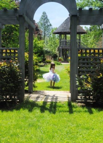 Acrylic-Mounted Artwork by Brenda Paulicelli: Garden ballerina