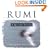 Rumi: A Spiritual Treasury