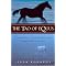 Horses and Spirituality