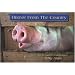 Humor from the Country