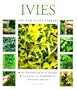 Ivies (The New Plant Library)