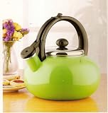 Copco Arista Teakettle Fern Green