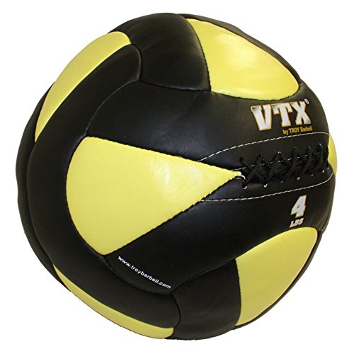 VTX by Troy Barbell Leather Wall Ball