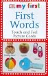 My First Touch  &  Feel Picture Cards: First Words (MY 1ST T&F PICTURE CARDS)