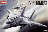 Academy F-14 Tomcat