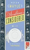 Anything Considered: A Novel (Vintage)