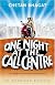 One Night at the Call Center