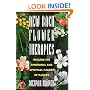 New Bach Flower Therapies: Healing the Emotional and Spiritual Causes of Illness