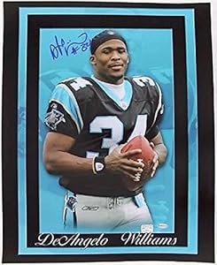 Signed DeAngelo Williams Photograph - 16x20 Gtsm - Autographed NFL Photos