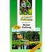 Weser-Radweg: Von Hann.-M�nden bis Bremerhaven. Mit Sightseeingtouren durch acht historische Altst�dte. Die sch�nsten Radfernwege