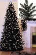 10' Pre-Lit Slim Black Ashley Spruce Artificial Christmas Tree - Clear Lights